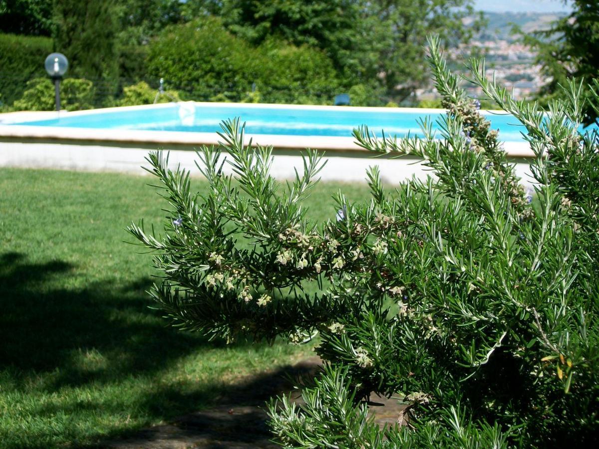 B&B Luna Blu Montesilvano Bagian luar foto
