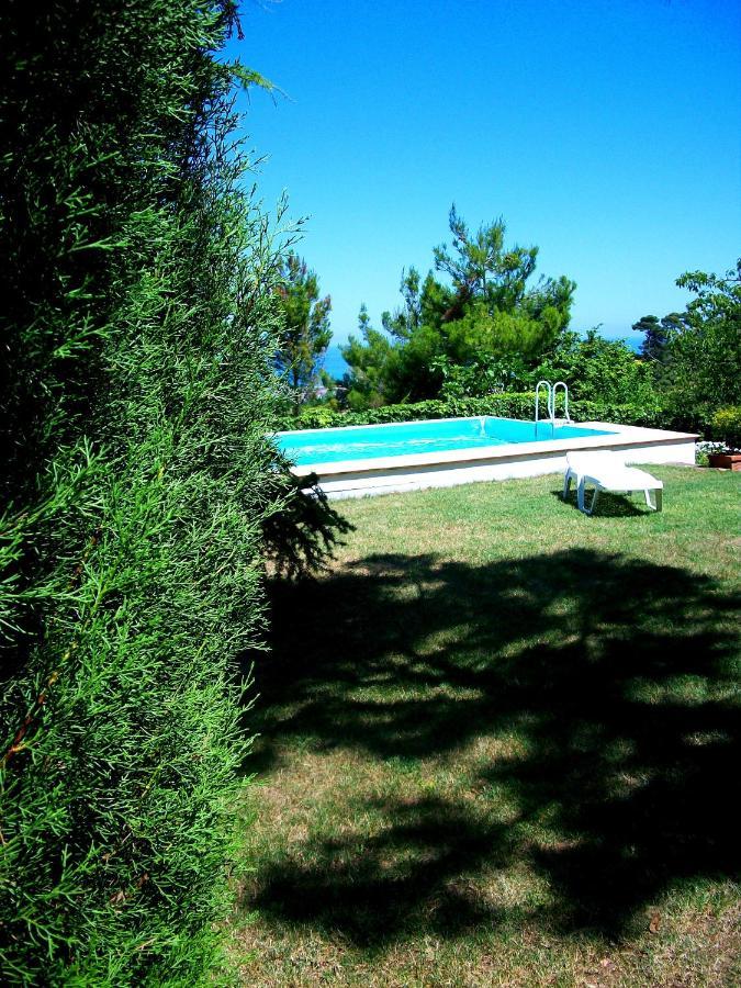 B&B Luna Blu Montesilvano Bagian luar foto