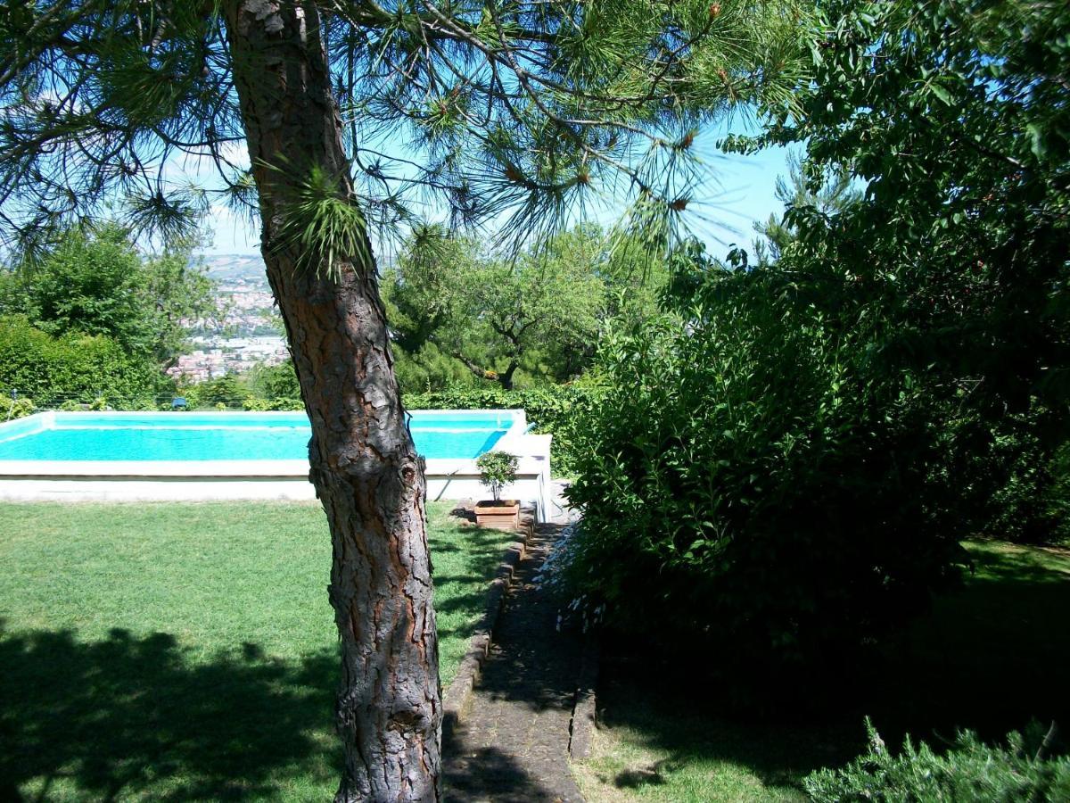 B&B Luna Blu Montesilvano Bagian luar foto
